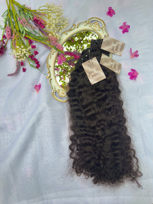 Burmese Curly Bundle Deal